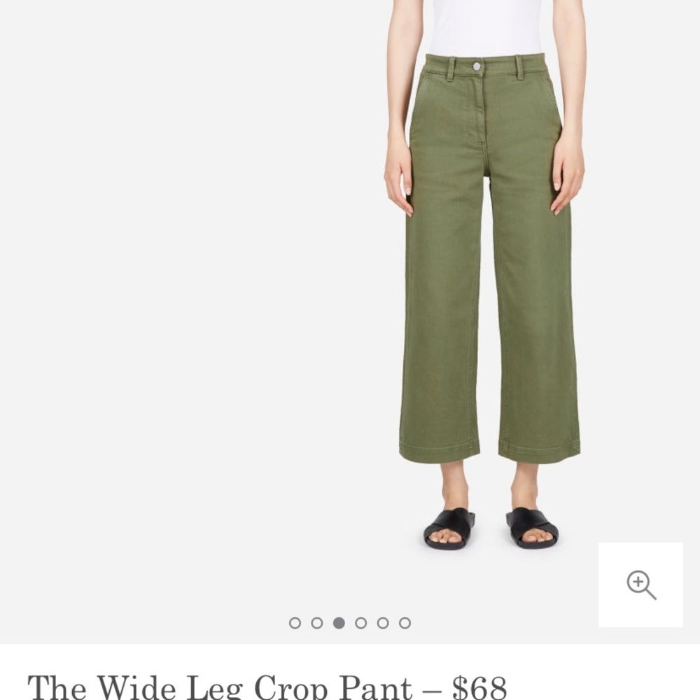 Everlane Wide Leg Crop in Surplus 10
